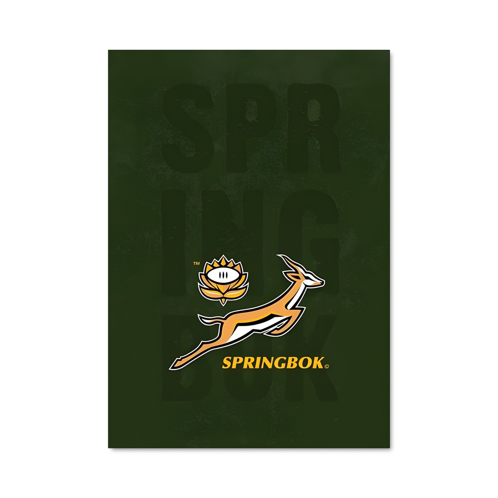 Poster Springboks Spirit